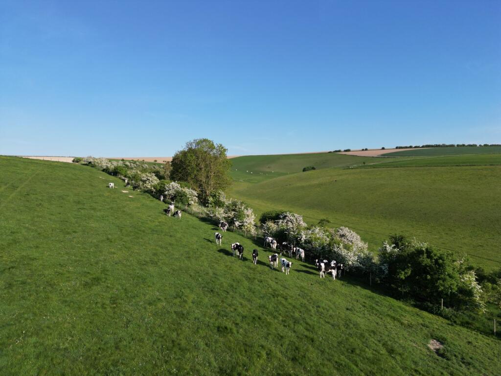 Additional image 12 of Chitterne Road, Codford, Warminster, Wiltshire