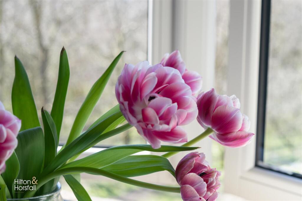 Additional image 5 of Spring Grove Barn, Spring Grove, Colne