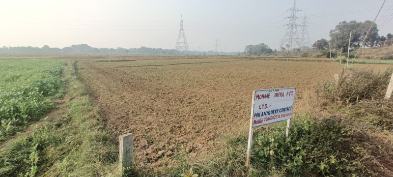 Bihta, Patna