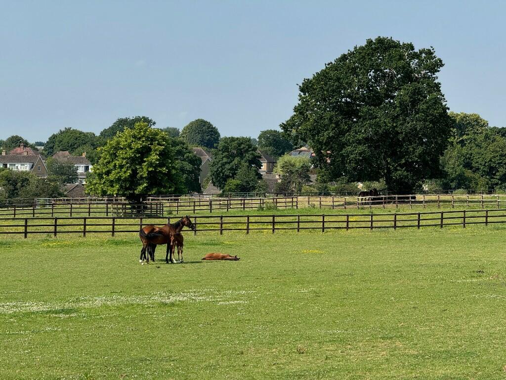Additional image 6 of Leigh Road West, Bradford-On-Avon, Wiltshire, BA15