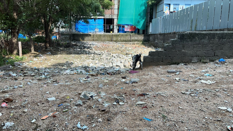 Primary image of Kondapur, Hyderabad