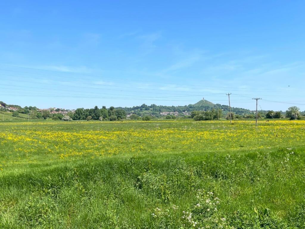 Additional image 17 of The Boardwalk, Street