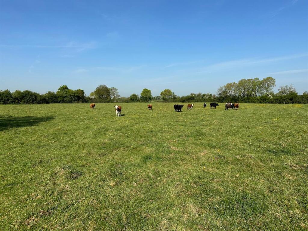 Additional image 8 of Limington, Yeovil