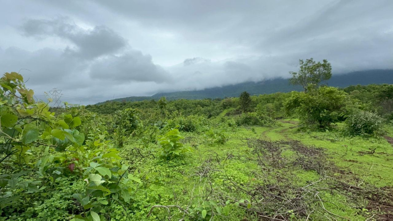 Additional image 2 of Mumbai Beyond Thane, Mumbai