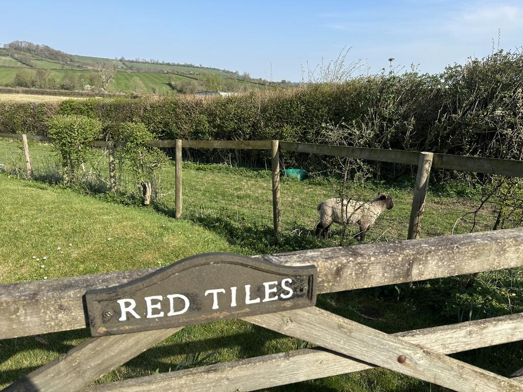 Additional image 9 of Red Tiles, Broad Street, Stoney Stratton, Shepton Mallet, BA4 6EF