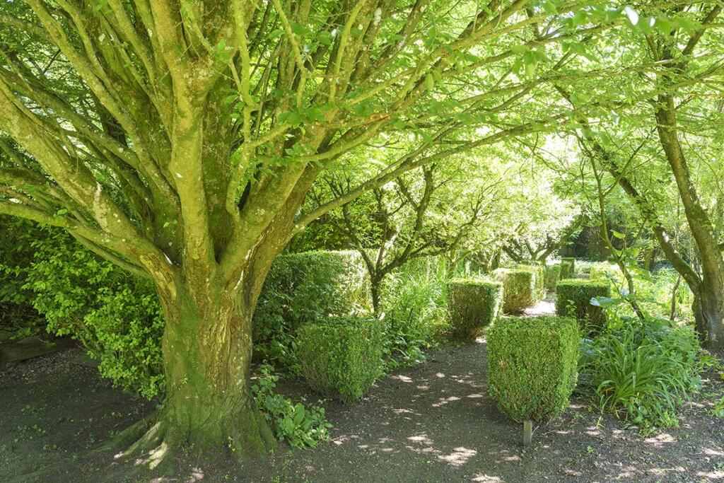 Additional image 26 of Farleigh Road, Norton St. Philip, Bath, BA2