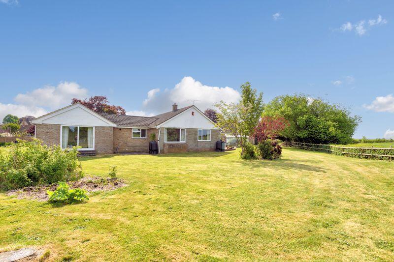 Additional image 2 of Holt