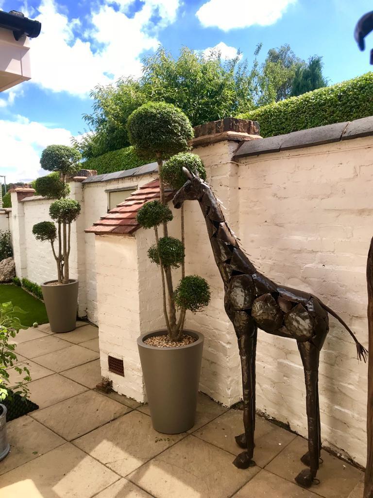 Additional image 23 of Coles Lane, Sutton Coldfield