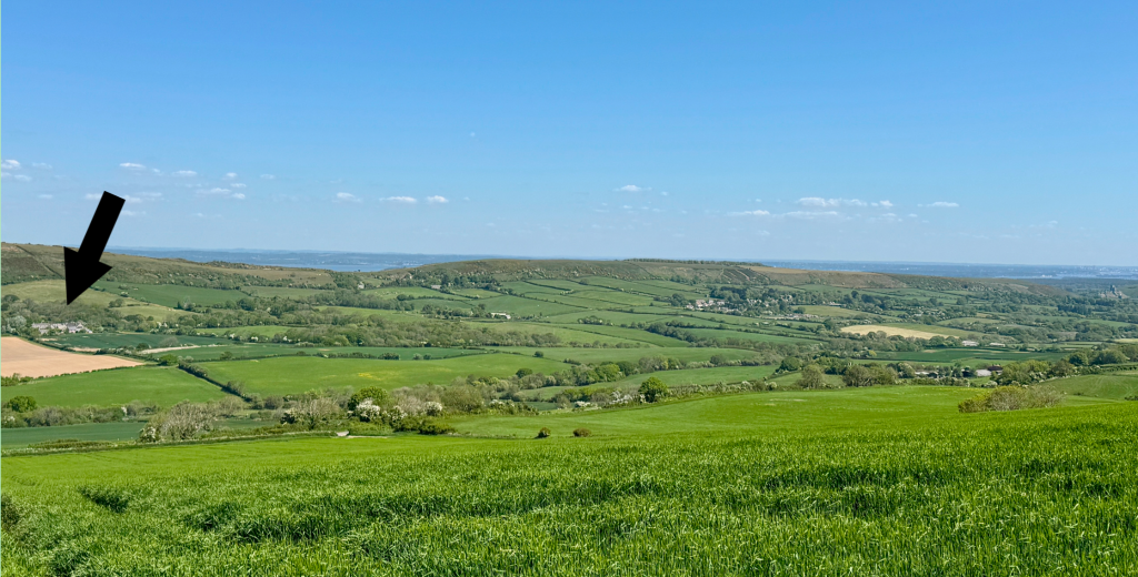 Additional image 23 of Steeple, Wareham