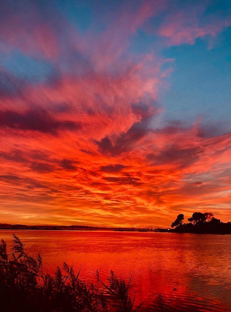 Additional image 28 of Salterns Way, Poole