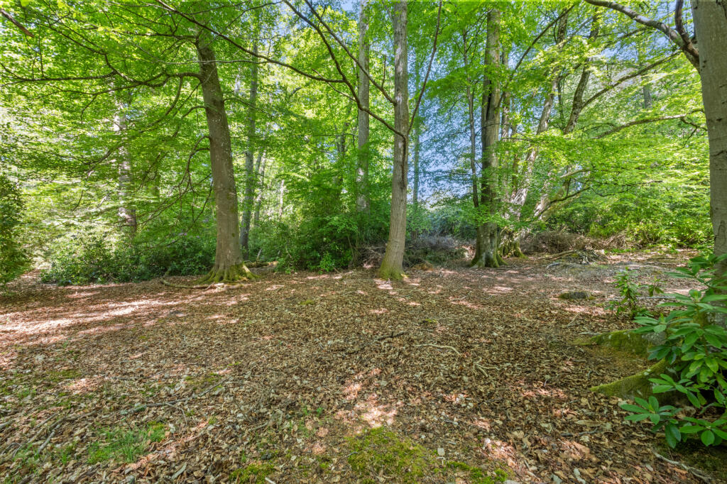 Additional image 23 of Wareham, Dorset