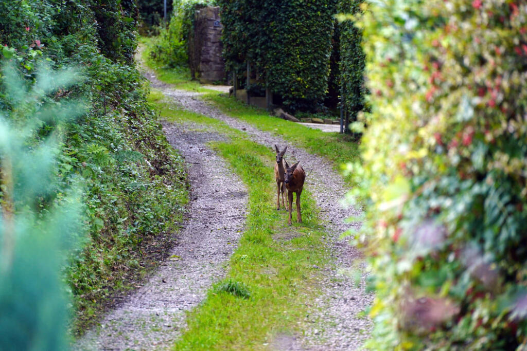 Additional image 12 of Cann Street, Tottington, Bury, Greater Manchester, BL8 3PF
