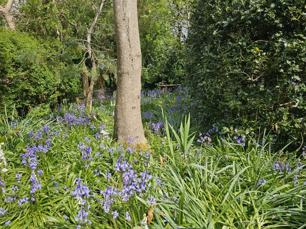 Additional image 36 of Crowlink Lane, Friston