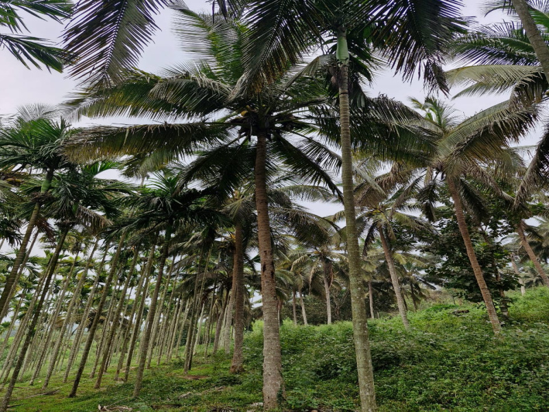 Othakalmandapam, Coimbatore