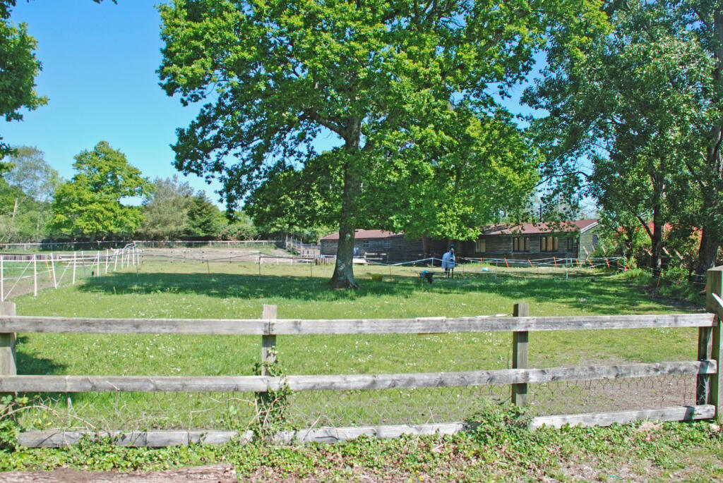 Additional image 22 of South Drive, Ossemsley, New Milton, BH25