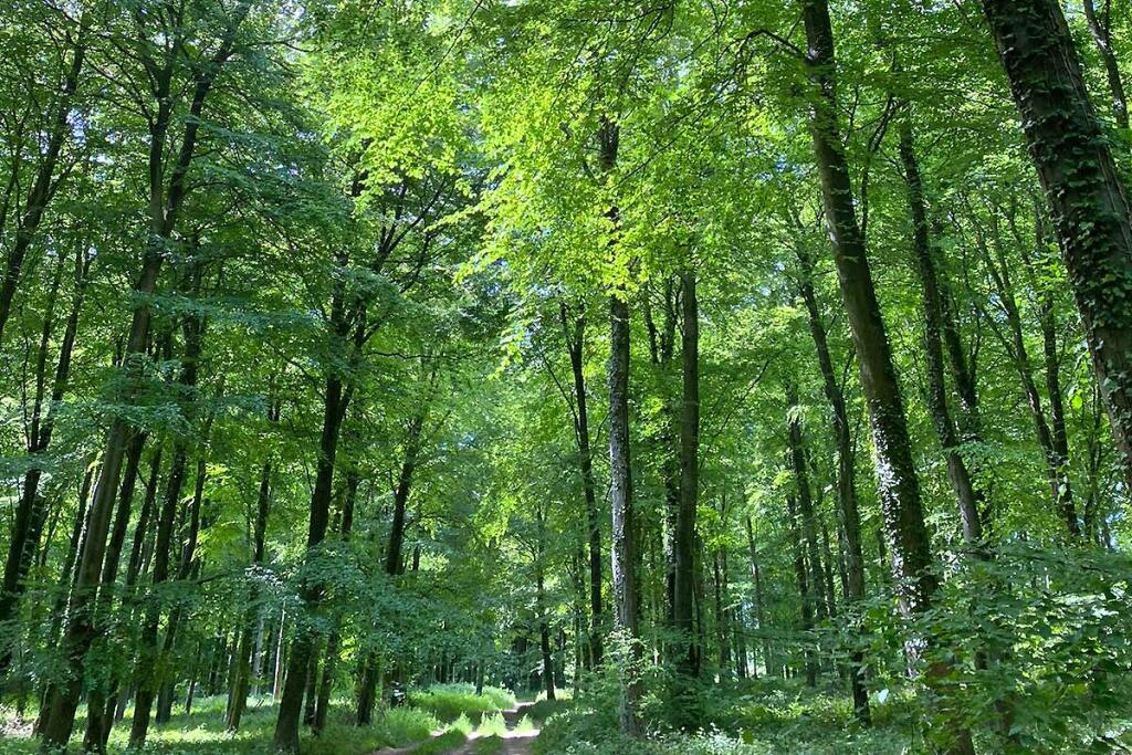 Additional image 21 of Hammerpot, Angmering, West Sussex