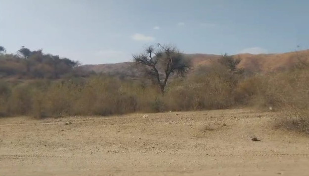 Additional image 3 of Girwa, Udaipur