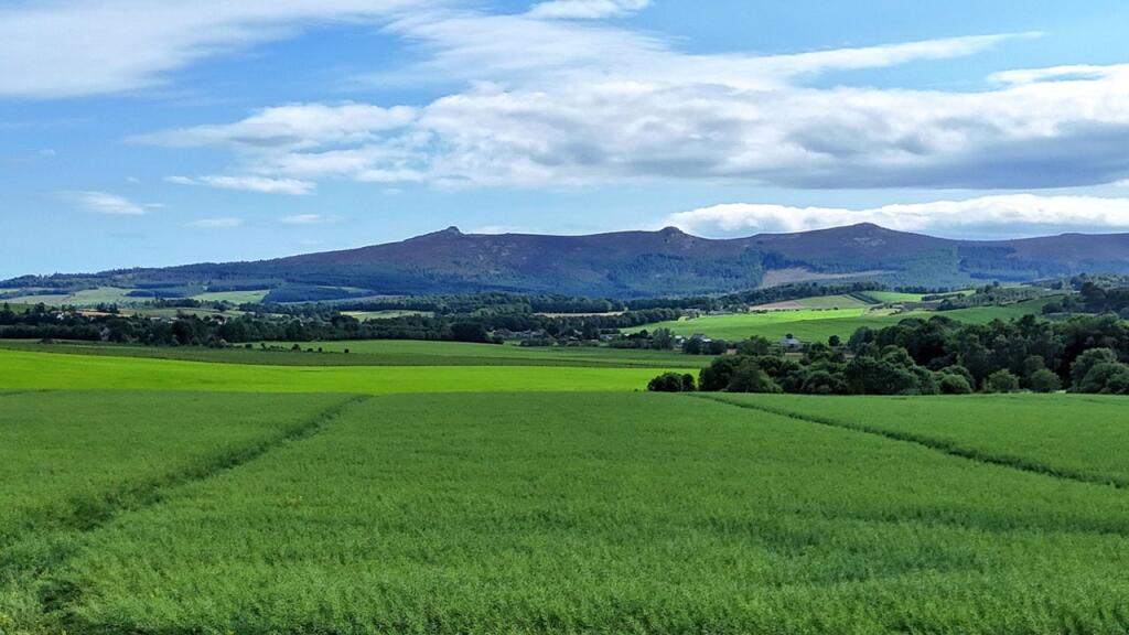 Additional image 17 of House Sites At Little Newton, Old Rayne, Insch, Aberdeenshire, AB52