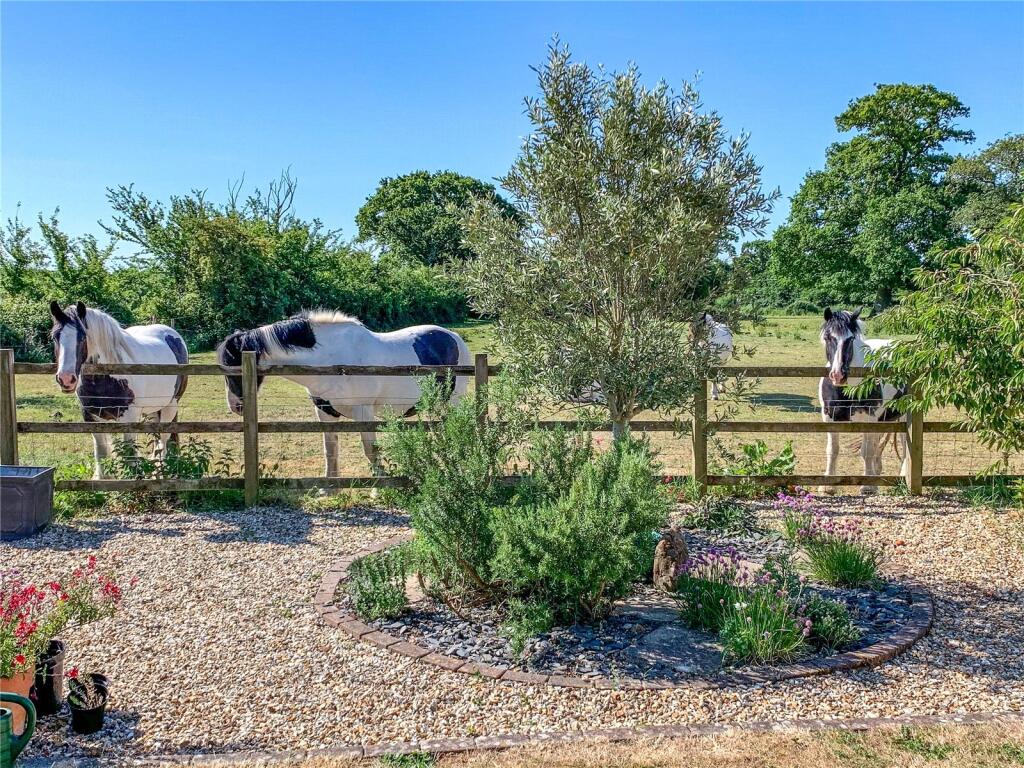Additional image 29 of Bashley Cross Road, New Milton, Hampshire, BH25