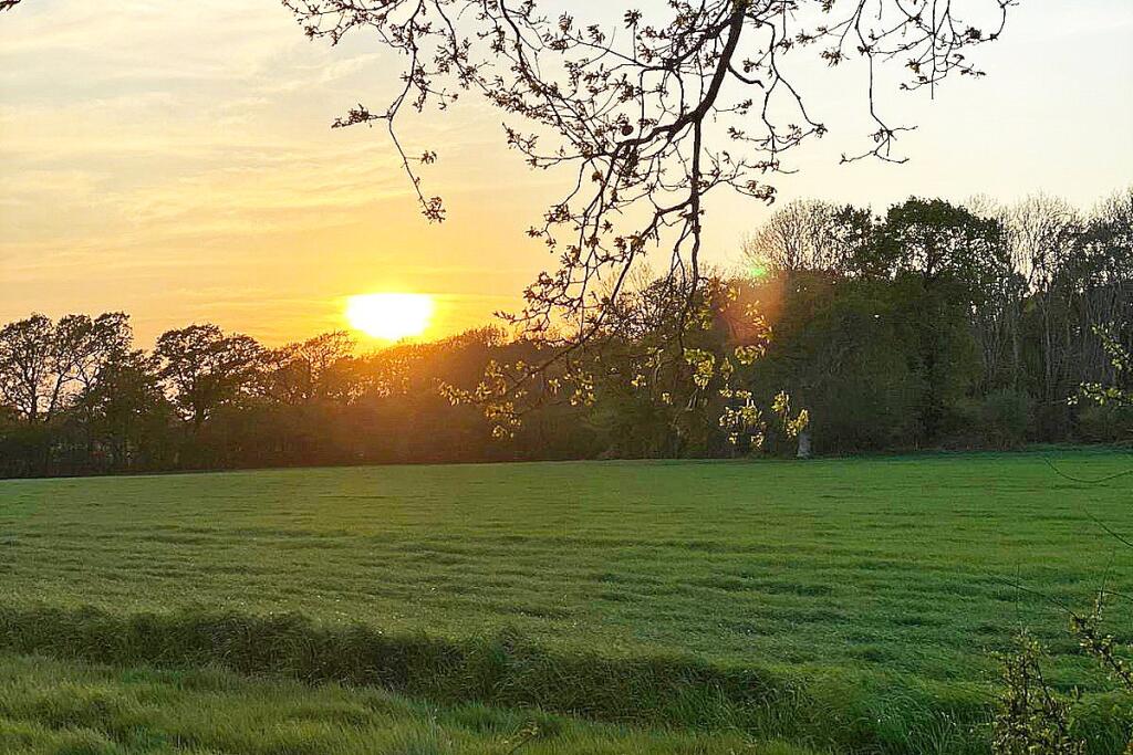 Additional image 24 of Hammerpot, Angmering, West Sussex