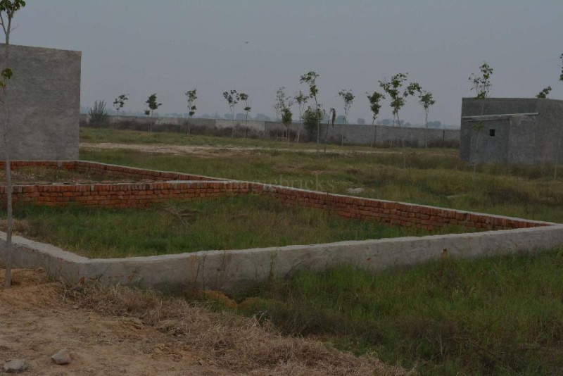 Additional image 2 of Dholera, Ahmedabad
