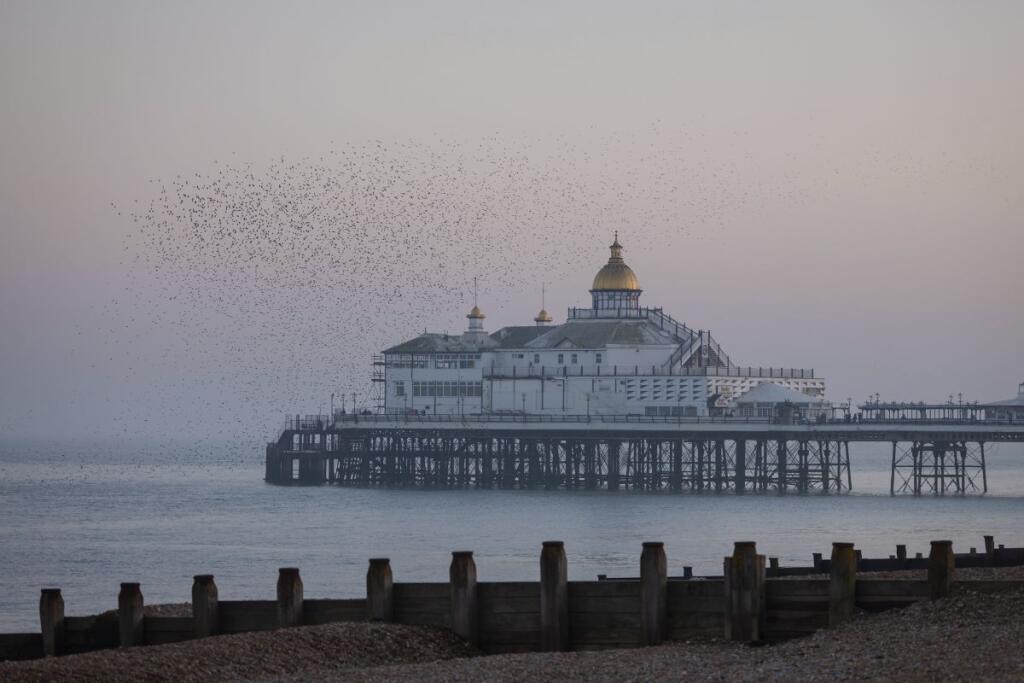 Additional image 8 of Royal Parade, Eastbourne