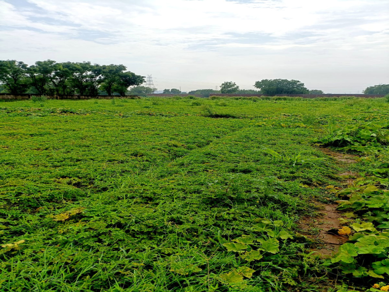 Sohna Road, Faridabad