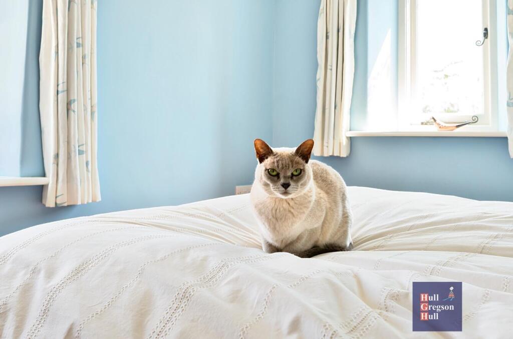 Additional image 26 of The Lane, Corfe Castle, Wareham