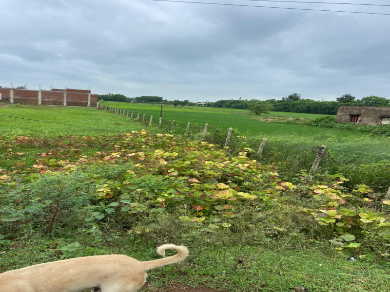 Additional image 2 of Bhatagaon, Raipur