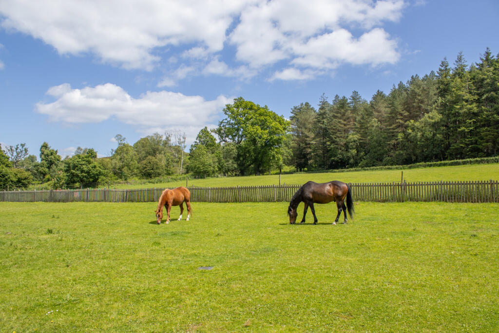Additional image 29 of Moyles Court, Rockford, Ringwood, Hampshire, BH24