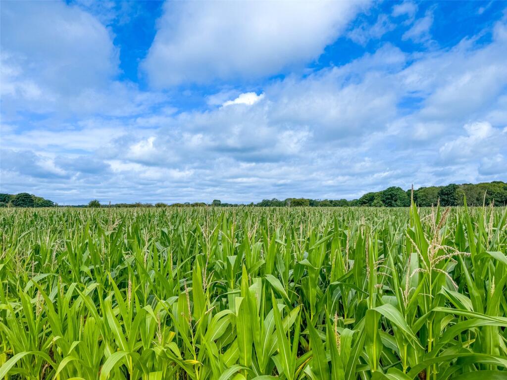 Additional image 7 of Burley Road, Bransgore, Christchurch, Dorset, BH23