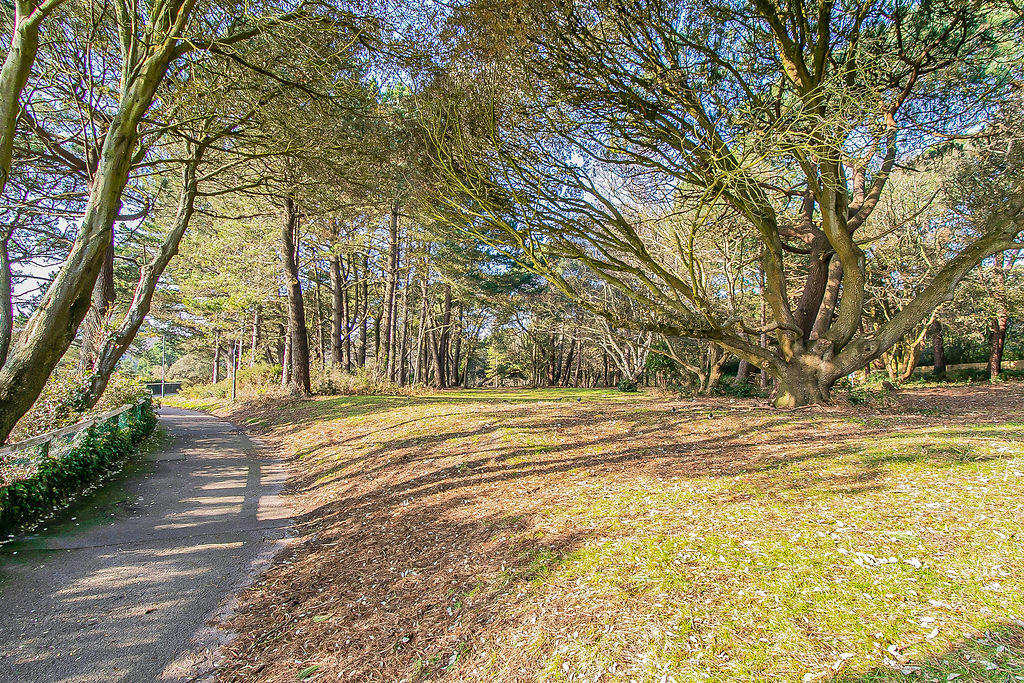 Additional image 5 of Durley Gardens, Bournemouth