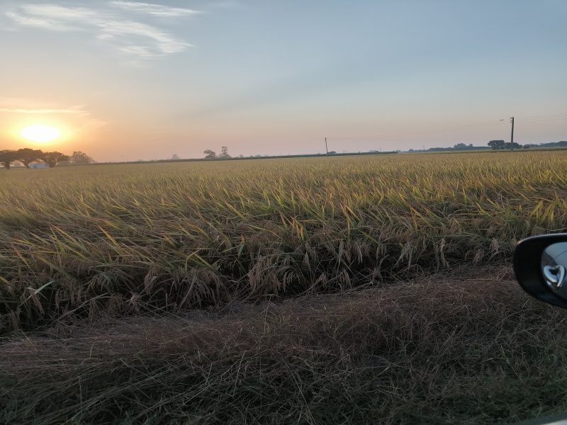 Additional image 3 of Machhiwara, Ludhiana