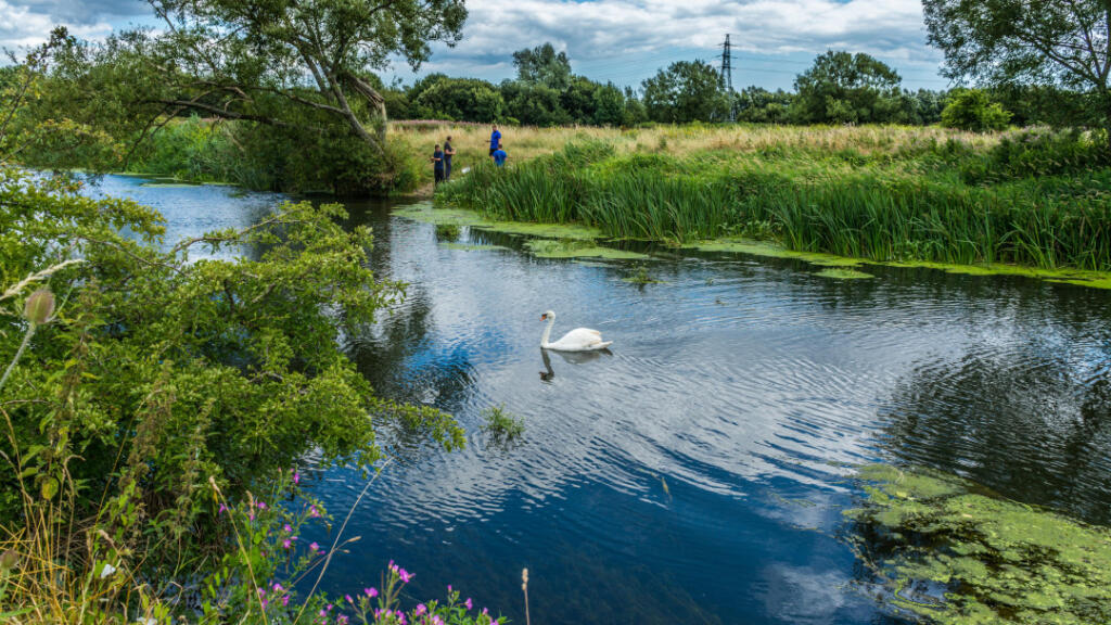Additional image 9 of New Road,
West Parley,
Ferndown,
BH22 8EB