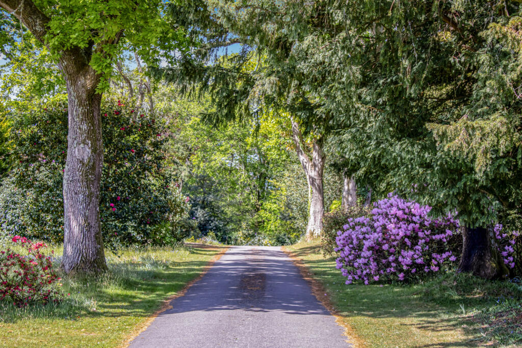 Additional image 34 of Highwood, Ringwood, Hampshire, BH24