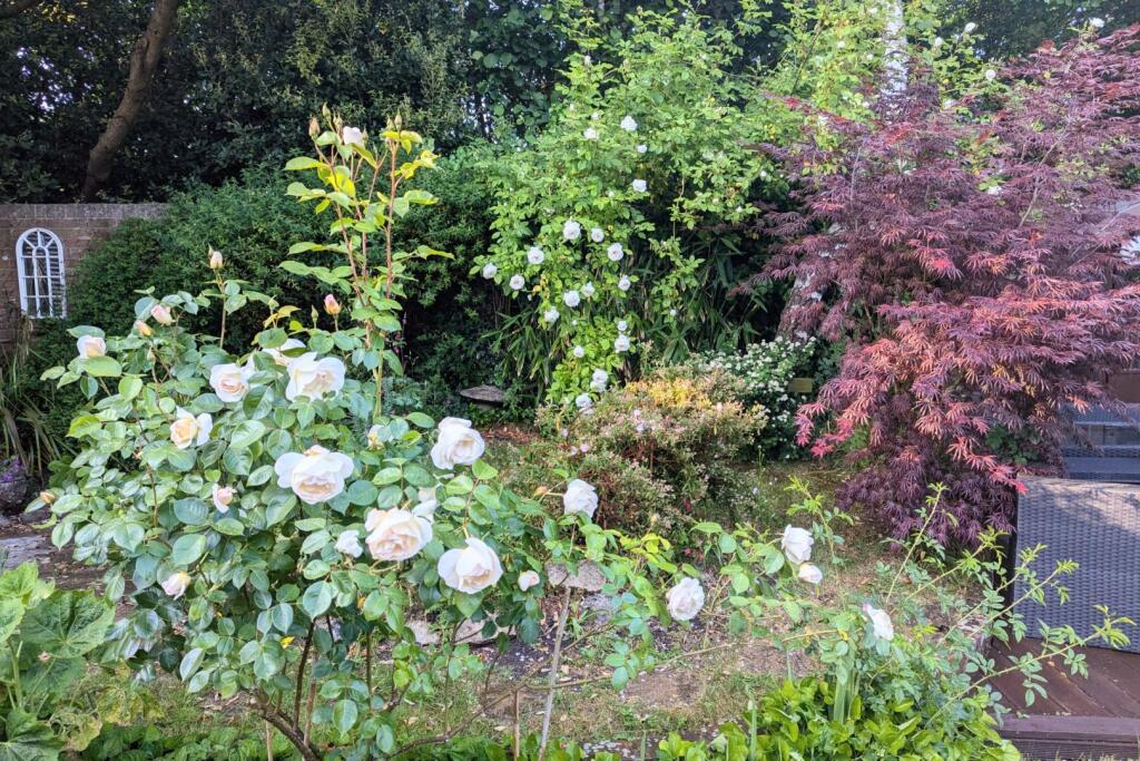 Additional image 38 of Vine Farm Close, Talbot Village, Poole, BH12