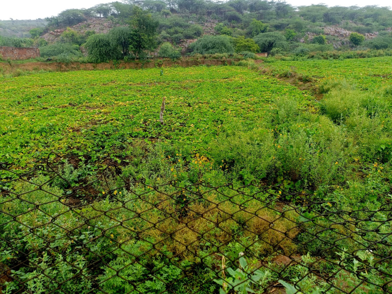 Additional image 3 of Sohna Road, Faridabad