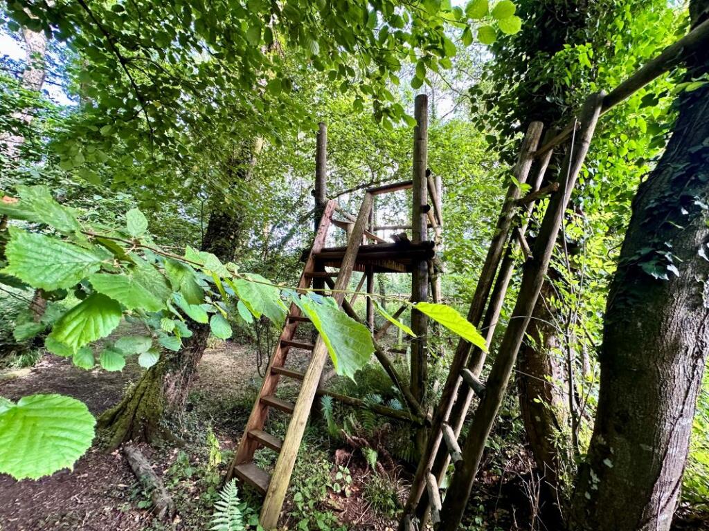 房产图片 10 - 威廉斯林地，Uddens Drive，温茂尔，多塞特，BH21 7BQ