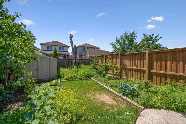 Additional image 35 of 47 COTTON GRASS St