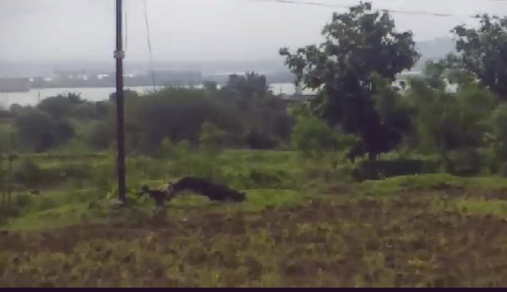 Property image for Igatpuri, Nashik
