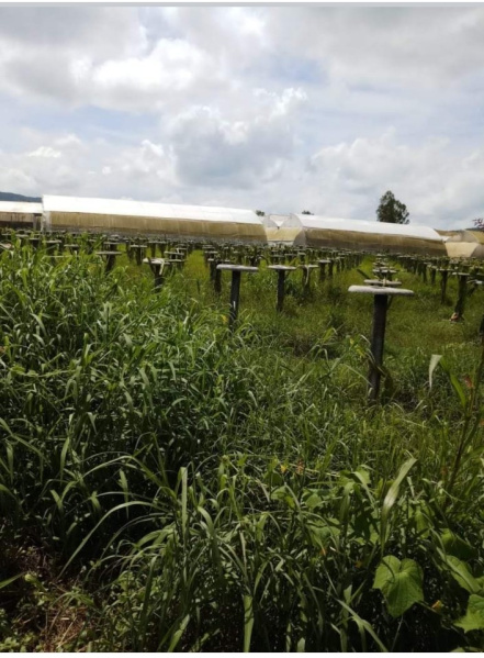 Additional image 3 of Kamshet, Pune