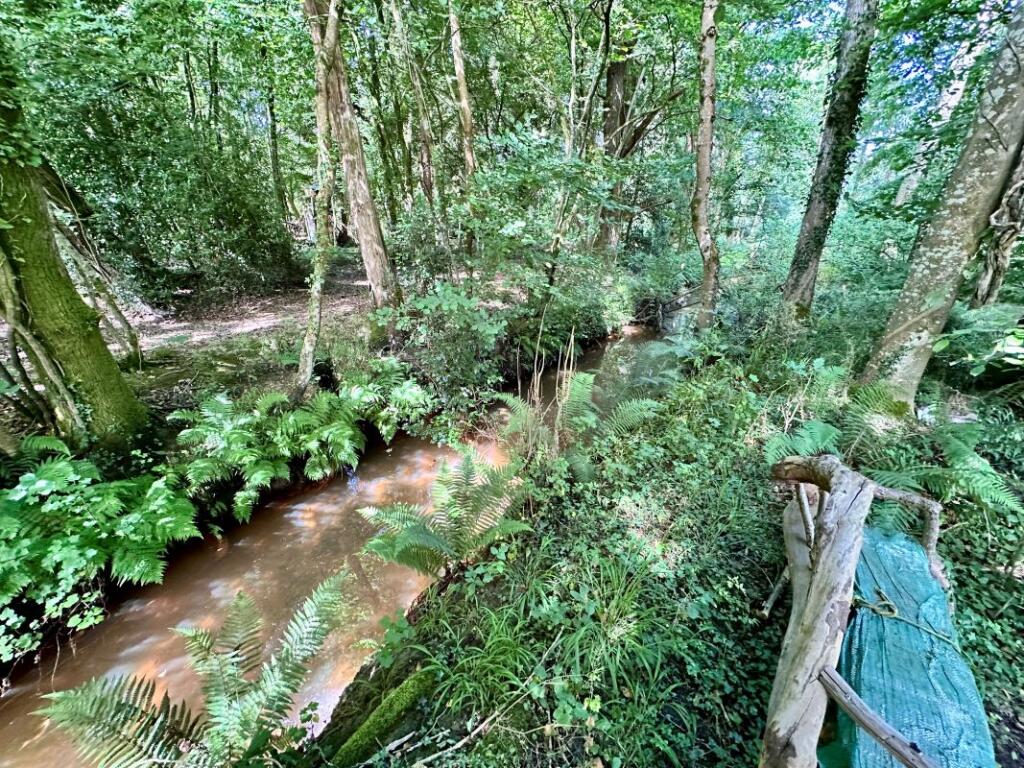 房产图片 11 - 威廉斯林地，Uddens Drive，温茂尔，多塞特，BH21 7BQ