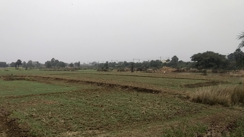 Additional image 3 of Parsa, Patna