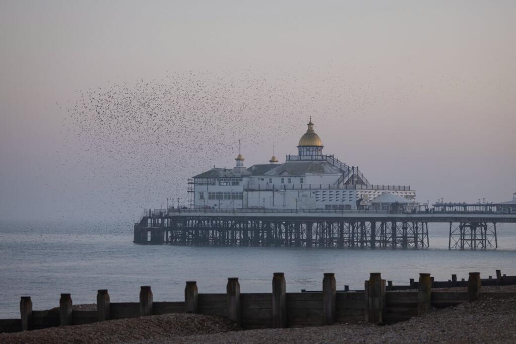 Additional image 25 of Royal Parade, Eastbourne