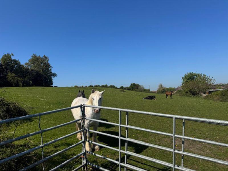 Additional image 38 of Duck Street, Wool, BH20