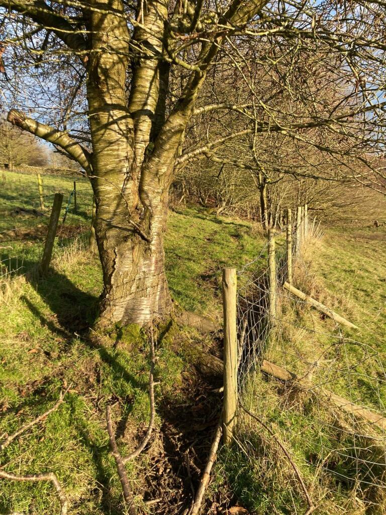 Additional image 5 of Tim Lane, Oakworth, Keighley, BD22