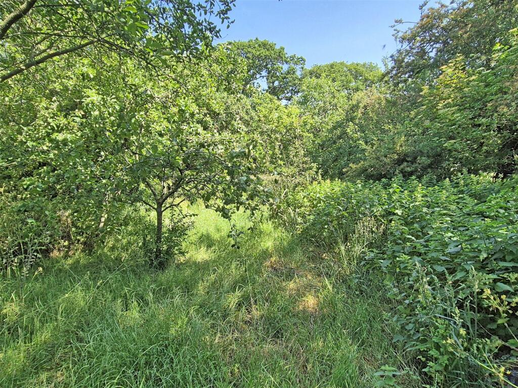 Additional image 26 of Ossemsley, Christchurch, Hampshire, BH23