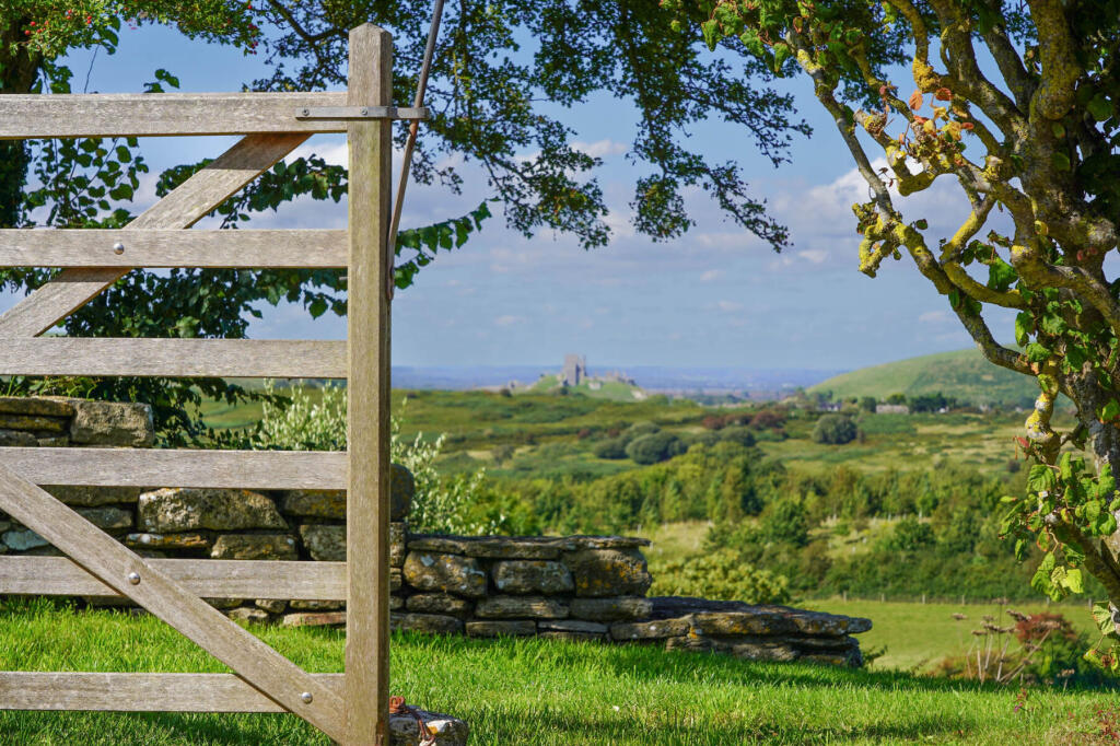 Additional image 34 of Corfe Castle, Dorset
