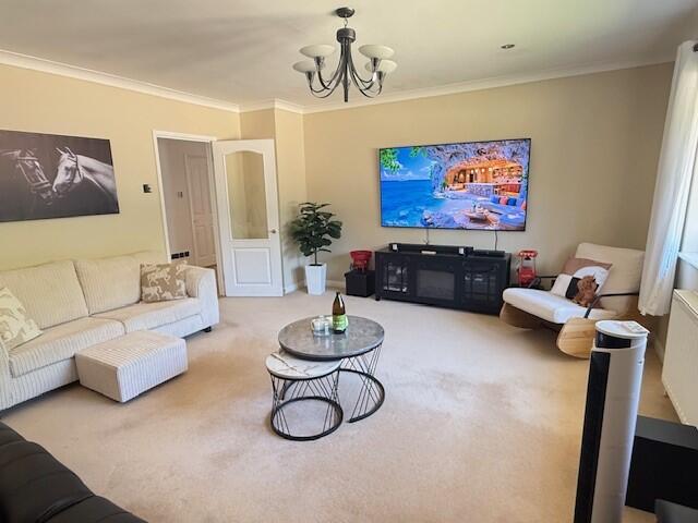 Additional image 9 of Matchams