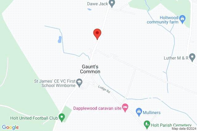 Additional image 41 of Gaunts Common, Wimborne, Dorset, BH21